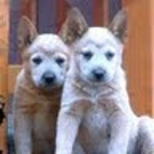 Meet your Posher, Monica r